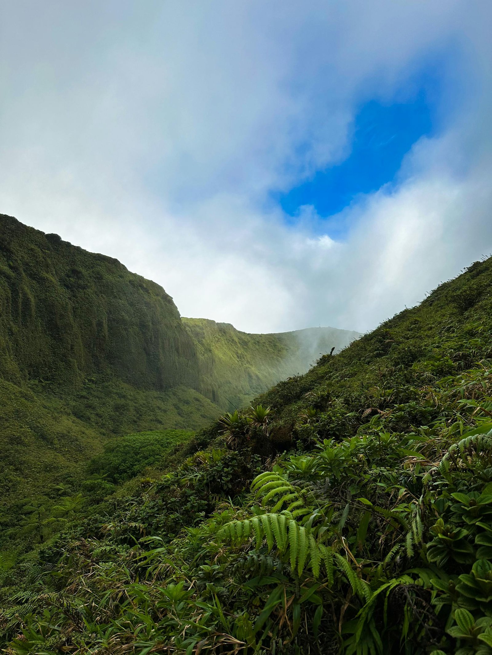 Stunning view of a verdant valley in Martinique with mist and blue sky above.